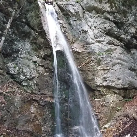 Campsite Camp Podljubelj