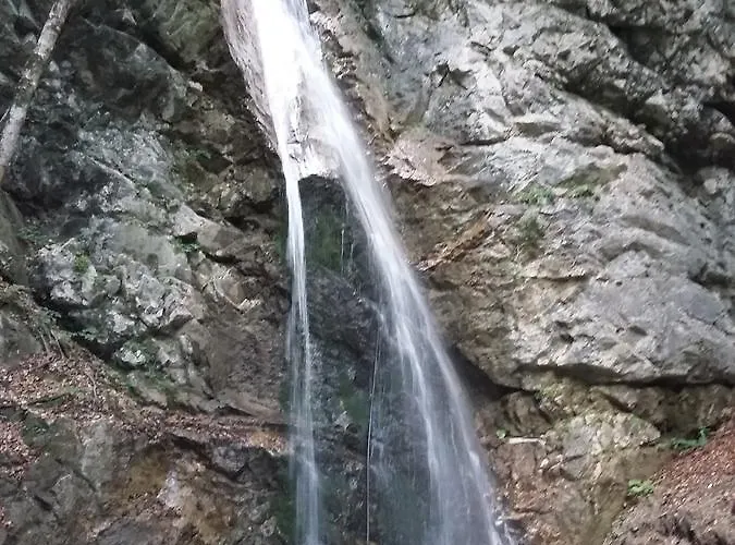 营地 Camp Podljubelj